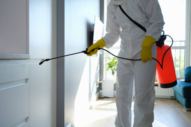 Best Crawl Space Mold Removal  in Fort Lee, VA