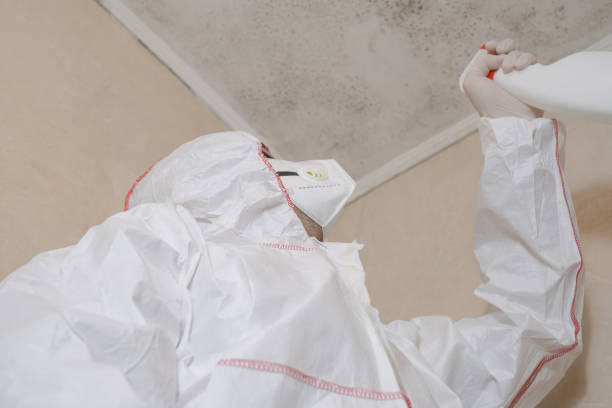 Best Water Damage Restoration  in Fort Lee, VA