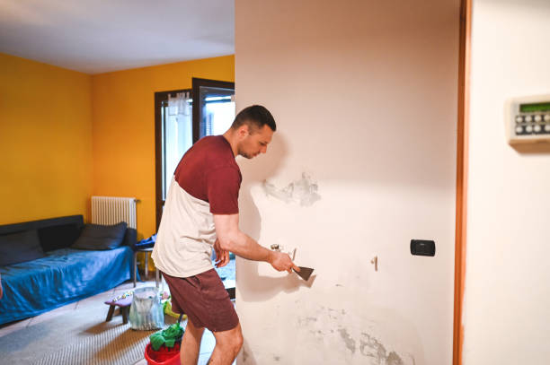 Best Professional Mold Removal  in Fort Lee, VA