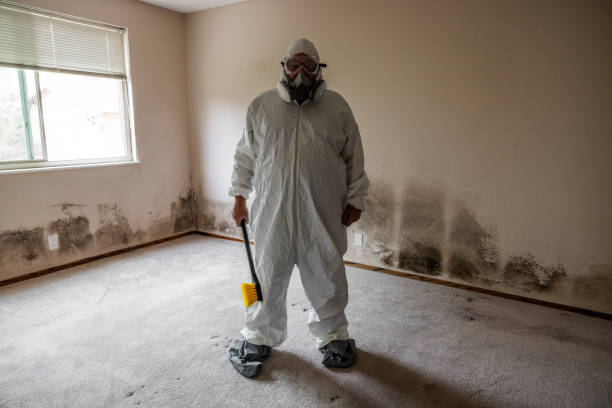 Mold Testing and Removal in Fort Lee, VA